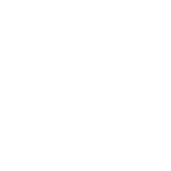 Y-Combinator